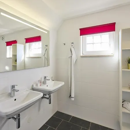 In Limburg Near Subtropical Pool Roggel