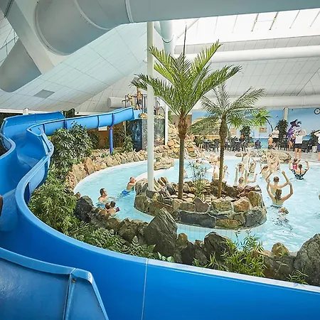 In Limburg Near Subtropical Pool * Roggel