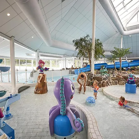 In Limburg Near Subtropical Pool Villa