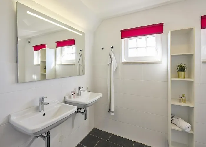 In Limburg Near Subtropical Pool Roggel